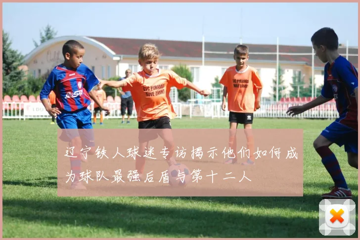 辽宁铁人球迷专访揭示他们如何成为球队最强后盾与第十二人